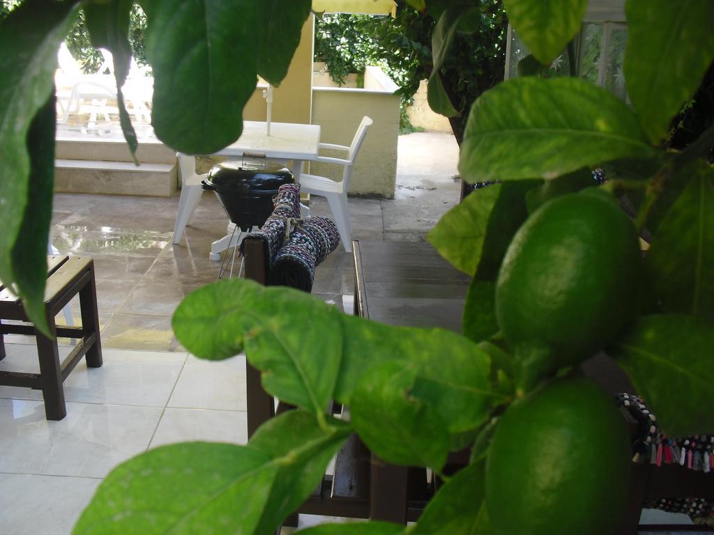 קוסדסי Gaby Apartment מראה חיצוני תמונה